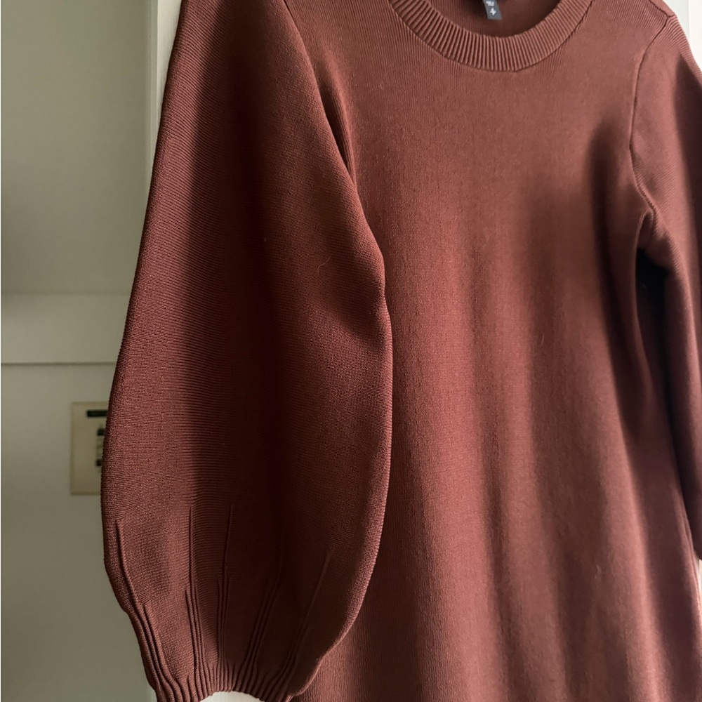 Express Terracotta Knit Sweater